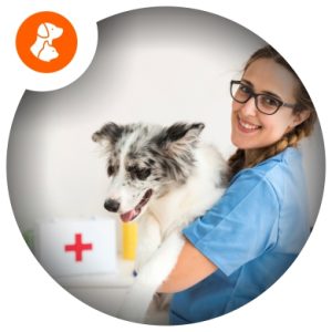 Petshop Banho e Tosa e Primeiros Socorros